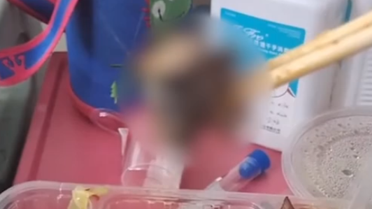 醫(yī)院里的老鼠又出事，滅鼠指引來(lái)了！