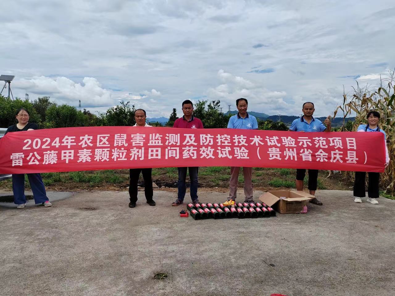余慶縣開展生物滅鼠劑 雷公藤甲素顆粒劑田間藥效試驗示范