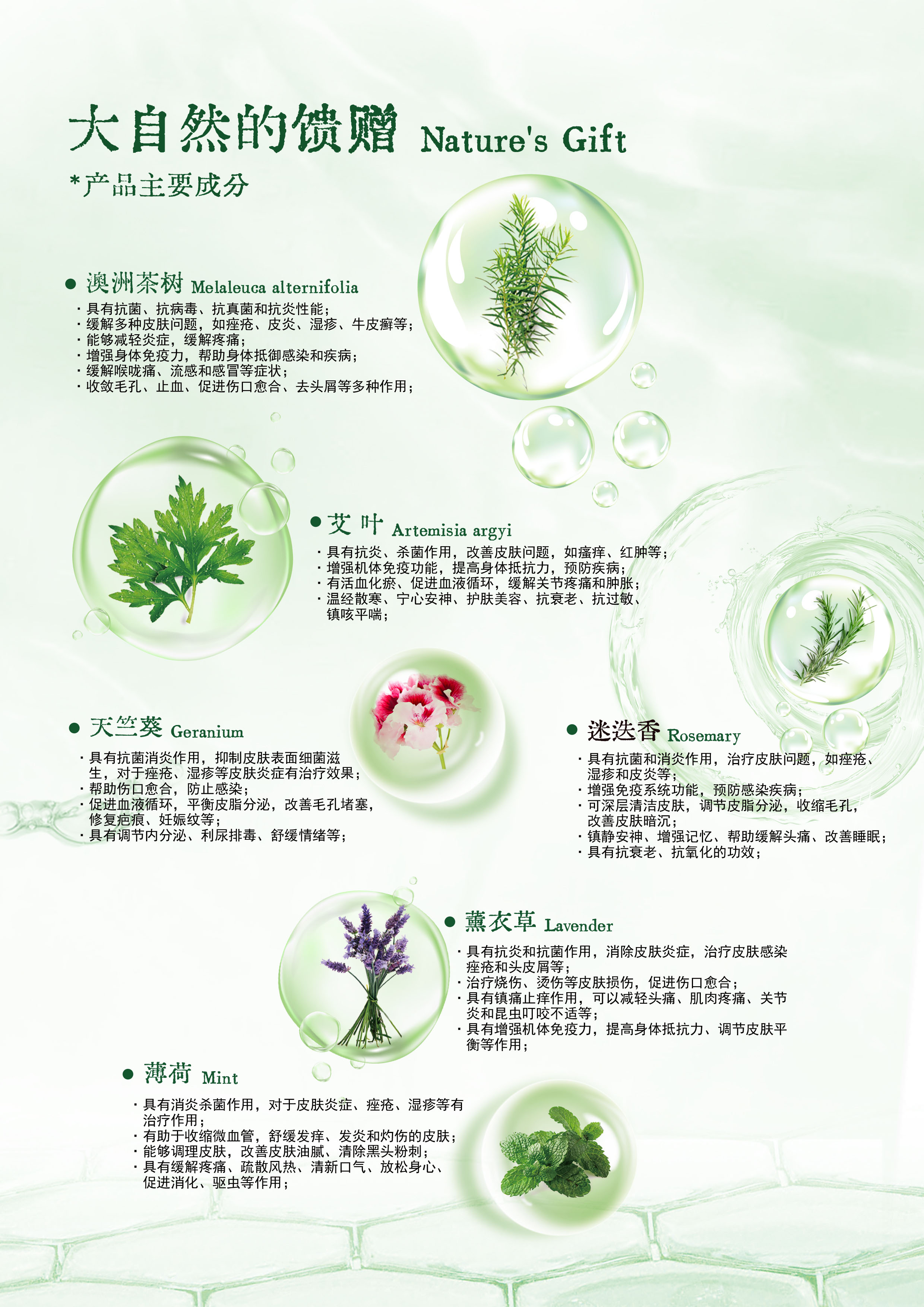 6品牌手冊-成分1